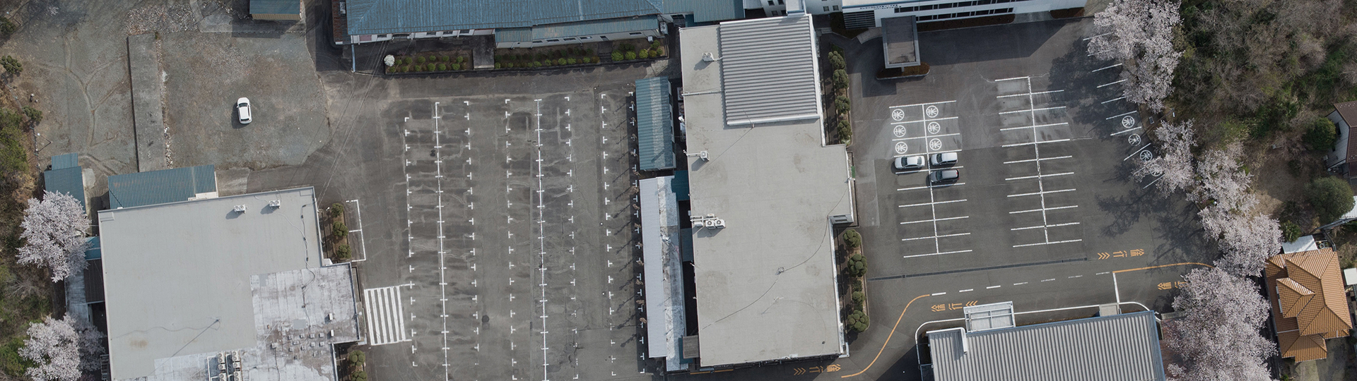 mainvisual_company_bg