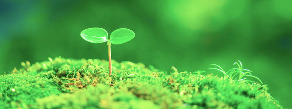 Environmental_Initiatives1